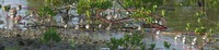 sgsgsg-200324.jpg