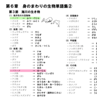 shimag-240716.png