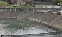 shoda-250205.jpg