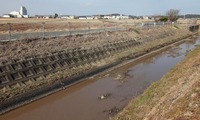 sougou-250114.jpg
