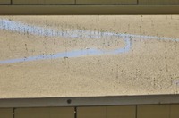 sss3-221119.jpg