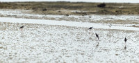 sts-150815.jpg