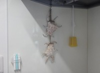 suiji-240805.jpg
