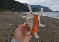 suiji-241207.jpg