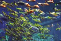 suiso-250119.jpg