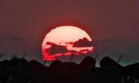 sunset-211211.jpg