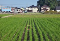 ta-241104.jpg