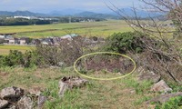 tamaru-241022.jpg