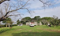tamaru-241101.jpg