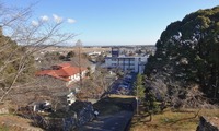 tamaru-250111.jpg