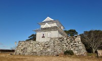 tamaru2-250111.jpg