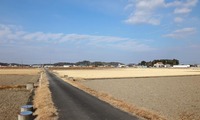 tambo-250114.jpg