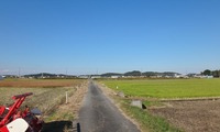 tanbo-241112.jpg