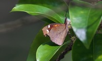 teng-240427.jpg