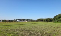 tenki-241103.jpg