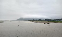 tenki-250603.jpg