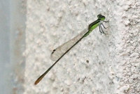 tmb-140509.jpg