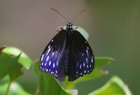 tmm2-191113.jpg