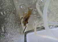 tng-esc_180718.jpg