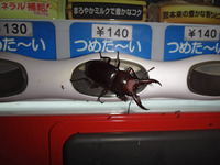 tnk-170910.jpg