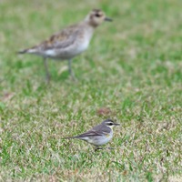 tns_md-250131.jpg