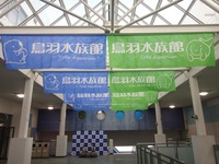 tobasui-250119.jpg