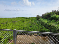 tonogi-250528.jpg