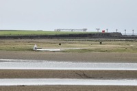 tori-210517.jpg