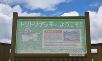 trtr_250725.jpg