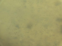 ua-140922.jpg
