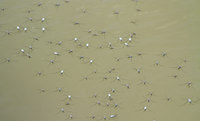 ua-150825.jpg