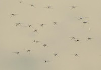 ua-180426.jpg