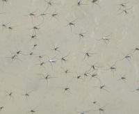 ua-190515.jpg