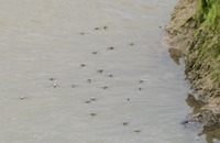 ua-190529.jpg