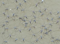 ua-200709.jpg