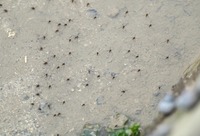 ua-240522.jpg