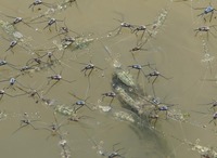 ua-ebi-180809.jpg