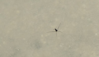 ua2-230425.jpg