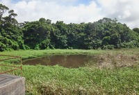 uenami-250808.jpg