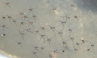 umia-250804.jpg