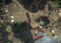 unbk-190606.jpg