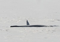 w4-200211.jpg