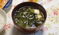 wakame-250122.jpg