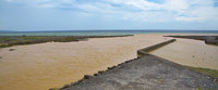 wanar-120602.jpg