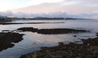 wanar-130717.jpg
