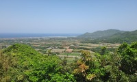 wideview-250414.jpg