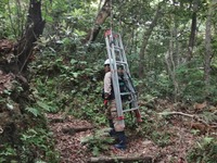 y_gusuk-250416.jpg