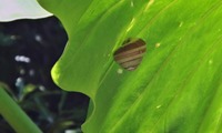 yama2-210925.jpg