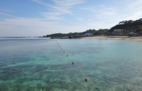 yonama-240517.jpg