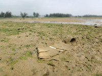yotsu-140529.jpg